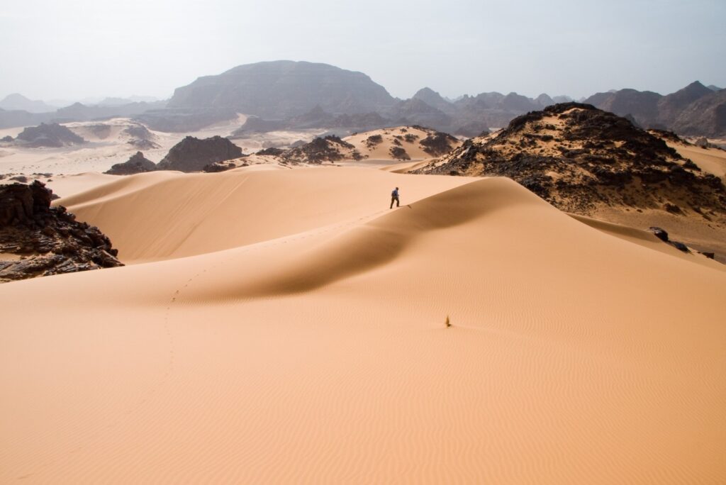 A Preciosa Solitude do Deserto