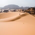 A Preciosa Solitude do Deserto